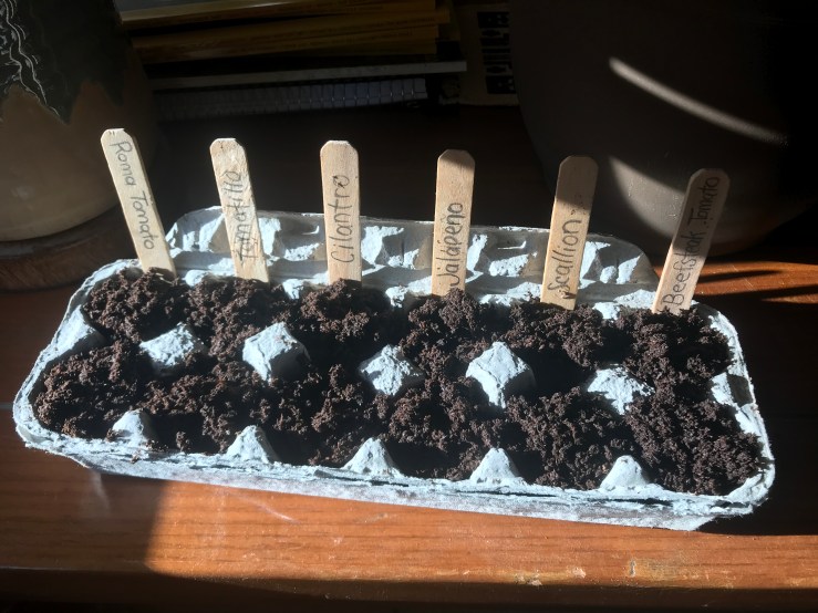 Cardboard egg carton full of soil with six popsicle stick labels poking out that labels Roma Tomato, Tomatillo, Cilantro, Jalapeño, Scallion, and Beefsteak Tomato.