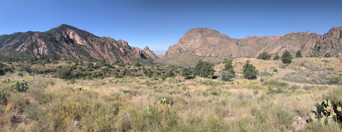 Shrubs, grasses, and cacti cover the hills in front of rocky mountains in Big Bend National Park.